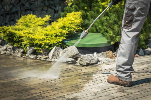 Best Sidewalk and Walkway Cleaning  in Baxter, TN