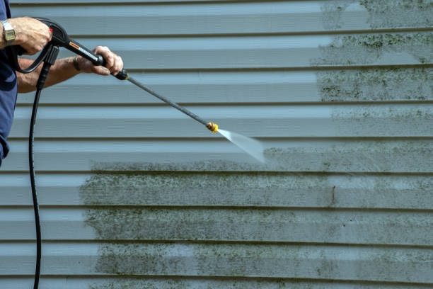 Best Gutter Cleaning  in Baxter, TN